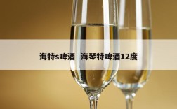 海特s啤酒  海琴特啤酒12度