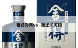 宿迁洋河v6  宿迁洋河镇