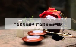 广西的葡萄品种  广西的葡萄品种图片