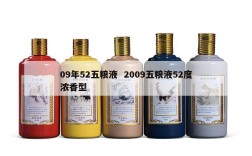 09年52五粮液  2009五粮液52度浓香型