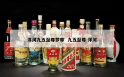 洋河九五至尊梦尊  九五至尊 洋河