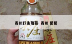 贵州野生葡萄  贵州 葡萄