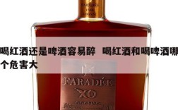 喝红酒还是啤酒容易醉  喝红酒和喝啤酒哪个危害大