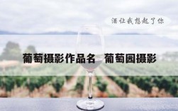 葡萄摄影作品名  葡萄园摄影