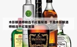 木影酿酒师精选干红葡萄酒  干露木影酿酒师精选干红葡萄酒
