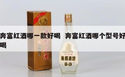 奔富红酒哪一款好喝  奔富红酒哪个型号好喝