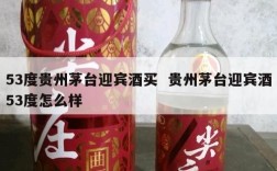53度贵州茅台迎宾酒买  贵州茅台迎宾酒53度怎么样
