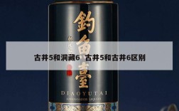 古井5和洞藏6  古井5和古井6区别