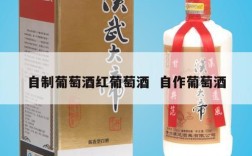 自制葡萄酒红葡萄酒  自作葡萄酒