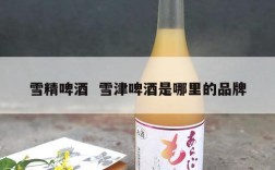 雪精啤酒  雪津啤酒是哪里的品牌