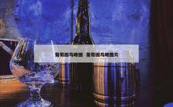 葡萄园鸟瞰图  葡萄园鸟瞰图片