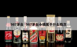 987茅台  987茅台小镇属于什么档次