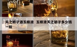 天之娇子酒五粮液  五粮液天之骄子多少钱一瓶