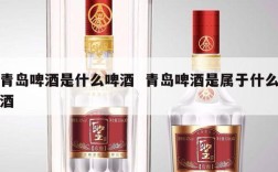 青岛啤酒是什么啤酒  青岛啤酒是属于什么酒