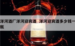洋河酒厂洋河迎宾酒  洋河迎宾酒多少钱一瓶