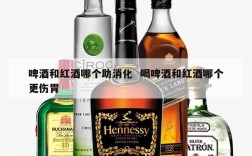 啤酒和红酒哪个助消化  喝啤酒和红酒哪个更伤胃