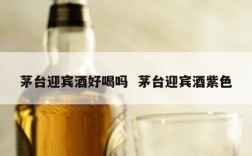 茅台迎宾酒好喝吗  茅台迎宾酒紫色