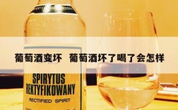 葡萄酒变坏  葡萄酒坏了喝了会怎样