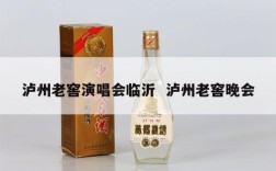 泸州老窖演唱会临沂  泸州老窖晚会