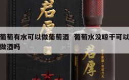 葡萄有水可以做葡萄酒  葡萄水没晾干可以做酒吗