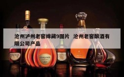 沧州泸州老窖绵藏9图片  沧州老窖酿酒有限公司产品