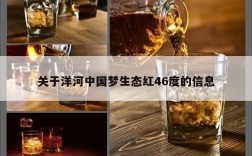 关于洋河中国梦生态红46度的信息