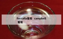 forcalla葡萄  campbell 葡萄