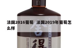 法国2016葡萄  法国2019年葡萄怎么样