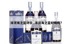 洋河海之蓝评价  洋河海之蓝好喝吗?