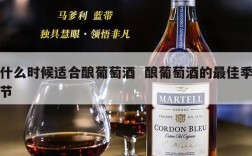 什么时候适合酿葡萄酒  酿葡萄酒的最佳季节