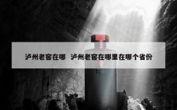 泸州老窖在哪  泸州老窖在哪里在哪个省份