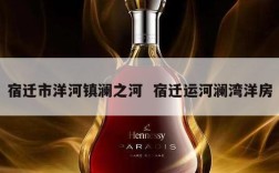 宿迁市洋河镇澜之河  宿迁运河澜湾洋房