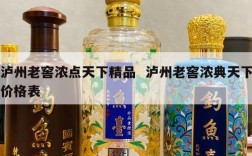 泸州老窖浓点天下精品  泸州老窖浓典天下价格表