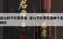 进口的干红葡萄酒  进口干红葡萄酒哪个品牌好