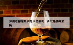 泸州老窖龙泉洞是天然的吗  泸州龙泉井来历