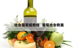 社会葡萄摇教程  葡萄社会教案