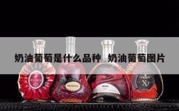 奶油葡萄是什么品种  奶油葡萄图片