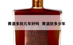 黄酒多放几年好吗  黄酒放多少年