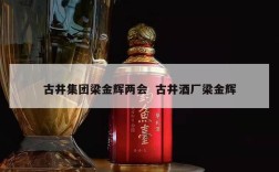 古井集团梁金辉两会  古井酒厂梁金辉