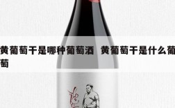 黄葡萄干是哪种葡萄酒  黄葡萄干是什么葡萄