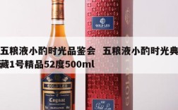 五粮液小酌时光品鉴会  五粮液小酌时光典藏1号精品52度500ml
