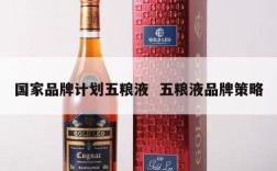 国家品牌计划五粮液  五粮液品牌策略