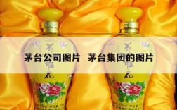 茅台公司图片  茅台集团的图片