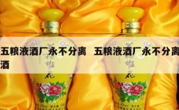 五粮液酒厂永不分离  五粮液酒厂永不分离酒
