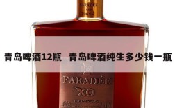 青岛啤酒12瓶  青岛啤酒纯生多少钱一瓶