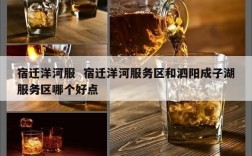 宿迁洋河服  宿迁洋河服务区和泗阳成子湖服务区哪个好点
