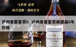 泸州老窖鉴赏6  泸州老窖鉴赏级酒品6年价格