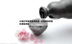 42度泸州老窖福来临酒  52度原味老窖白酒福来临
