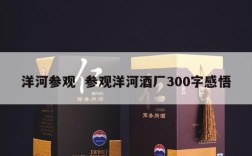 洋河参观  参观洋河酒厂300字感悟