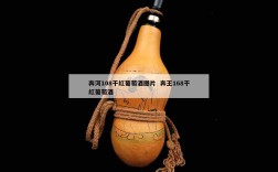 奔河108干红葡萄酒图片  奔王168干红葡萄酒